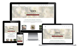Efour Web Design for Talara